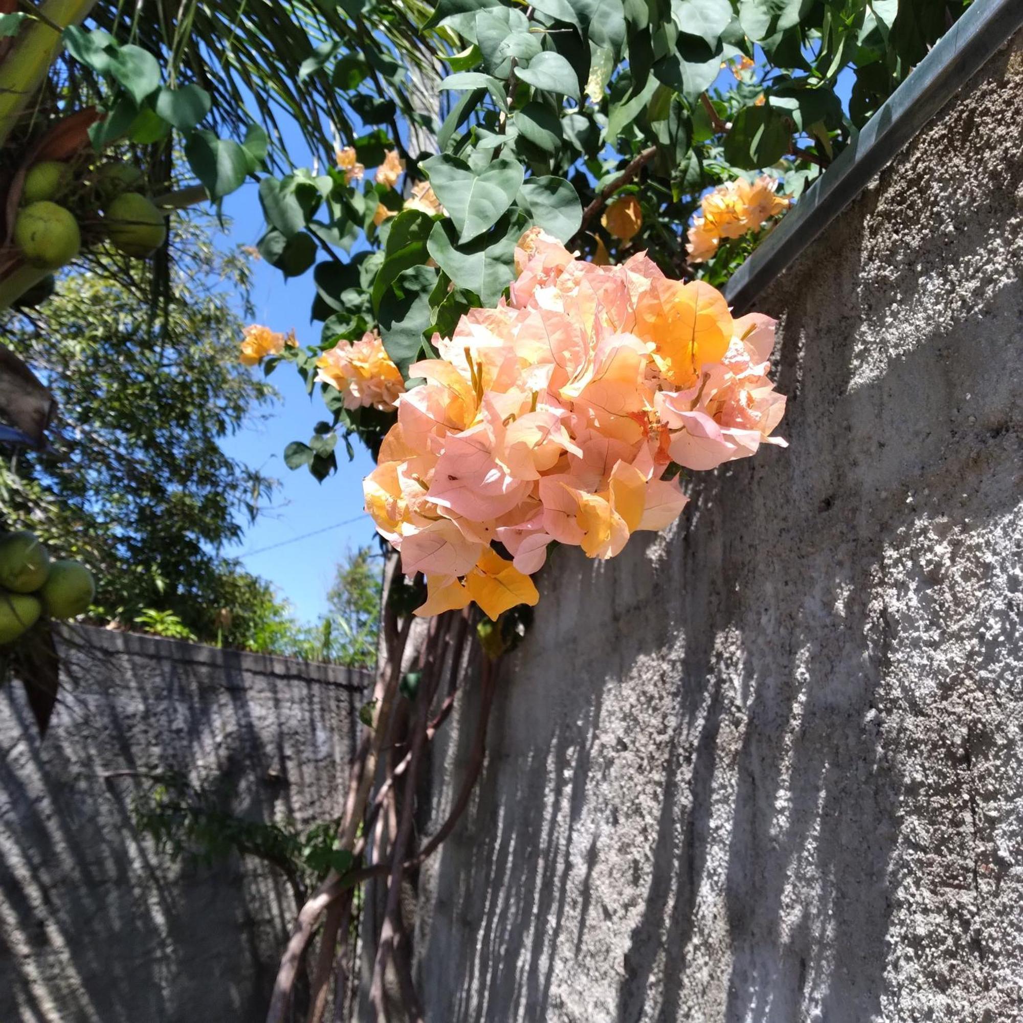 Casa China & Silva, Otima Casa Para Praia Ou Descanso, Proximo As Dunas Da Sabiaguaba E Shoppings Em Eusebio E Fortaleza Ce المظهر الخارجي الصورة